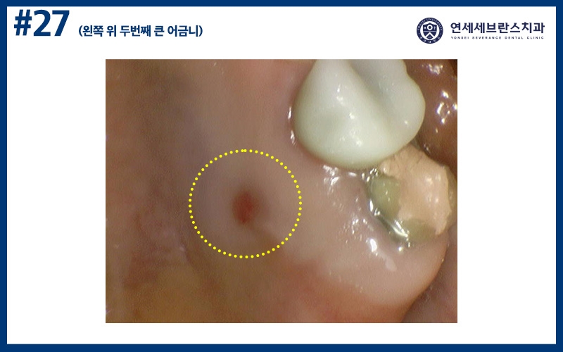 곡반정동치과