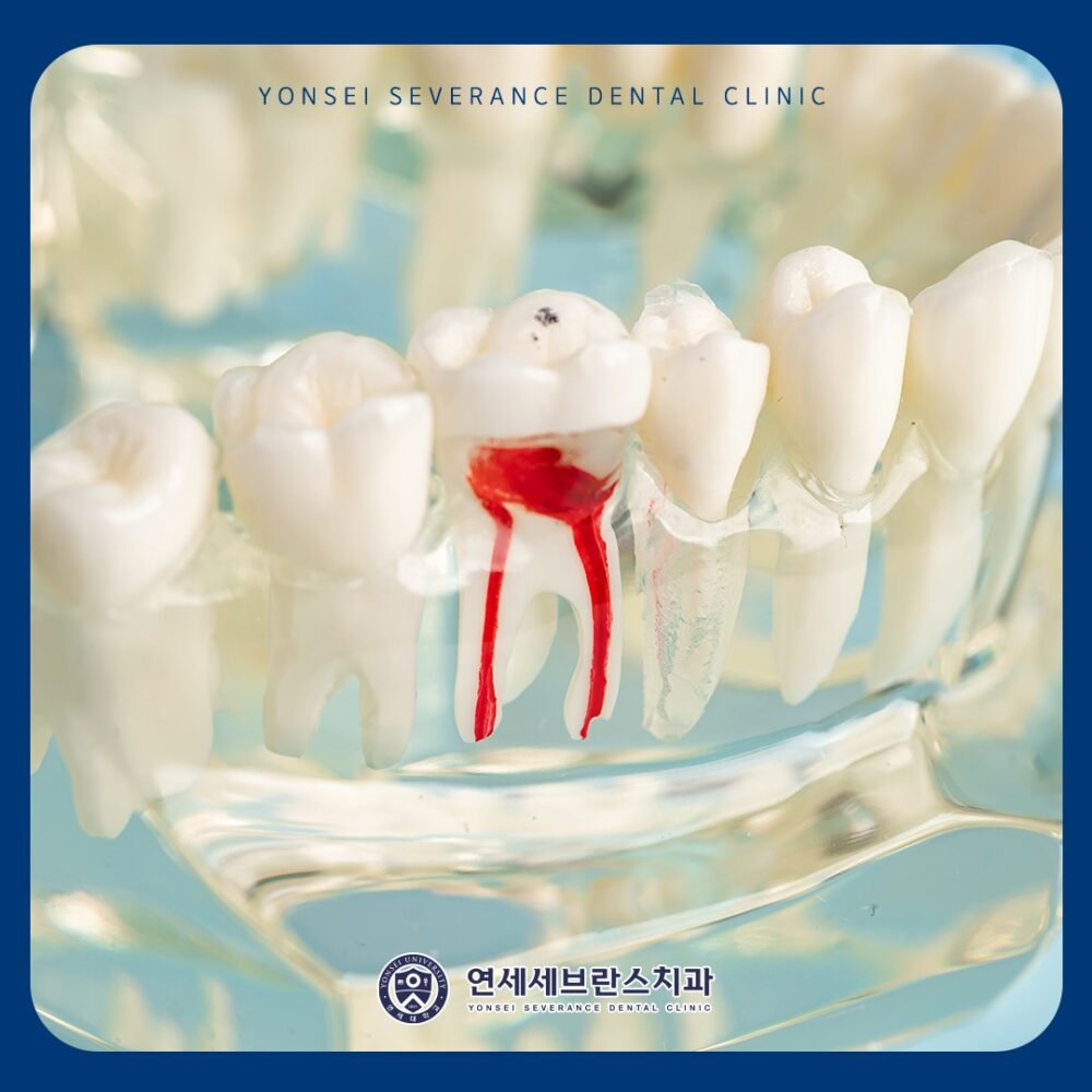 곡반정동치과