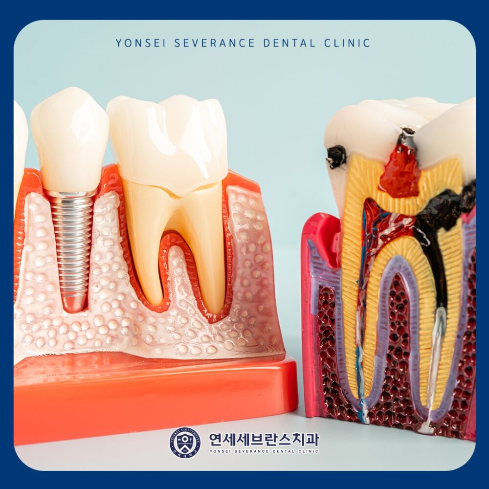 곡반정동치과