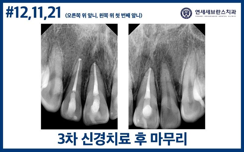 곡반정동치과